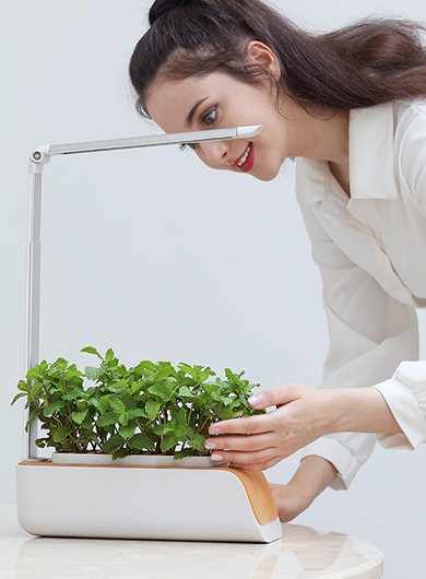 小呵科技<br />简约自然的生活美学